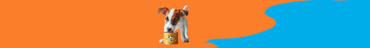 Alimento Húmedo Para Perros Colección Manual