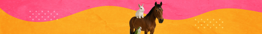Otros Animales