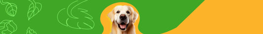 Alimento Natural para Perros