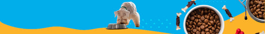 Alimento Seco para Perros