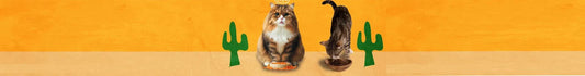 Alimentos Secos para Gatos
