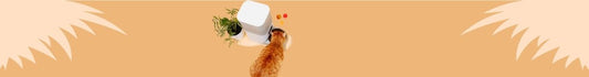 Comederos & Bebedores para Gatos