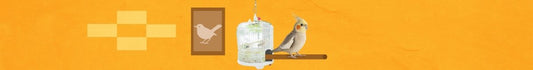 Complementos y Accesorios para Aves
