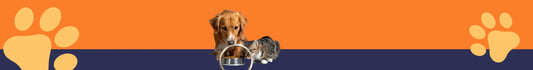 Descubre la increíble colección de nuevos productos en PetsPlaza: ¡Haz feliz a tu mascota hoy!