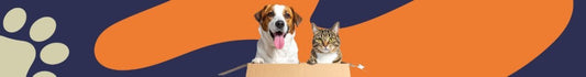 Destacados alimentos para perros: delicias para tu mejor amigo