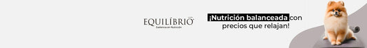Equilíbrio