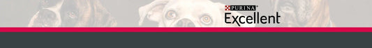 Purina Excellent