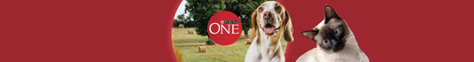 Purina One