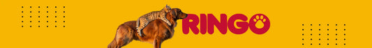 Ringo