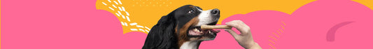 Snacks para Perros