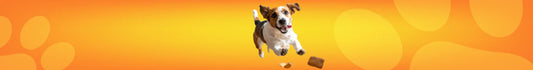 Snacks irresistibles para perros: lo mejor en alimentación canina