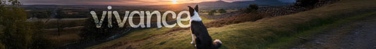 Vivance