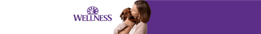 Wellness: Nutrición natural para perros y gatos felices