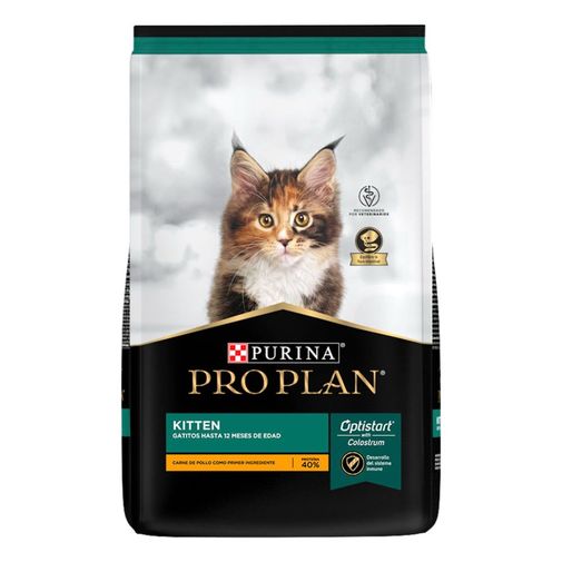 Pro Plan Kitten