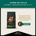 Alimento para perro Proplan Cachorro Razas Pequeñas