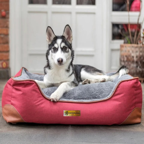 Cama Parches - PetsPlaza