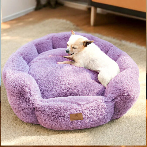 Cama Flor - PetsPlaza