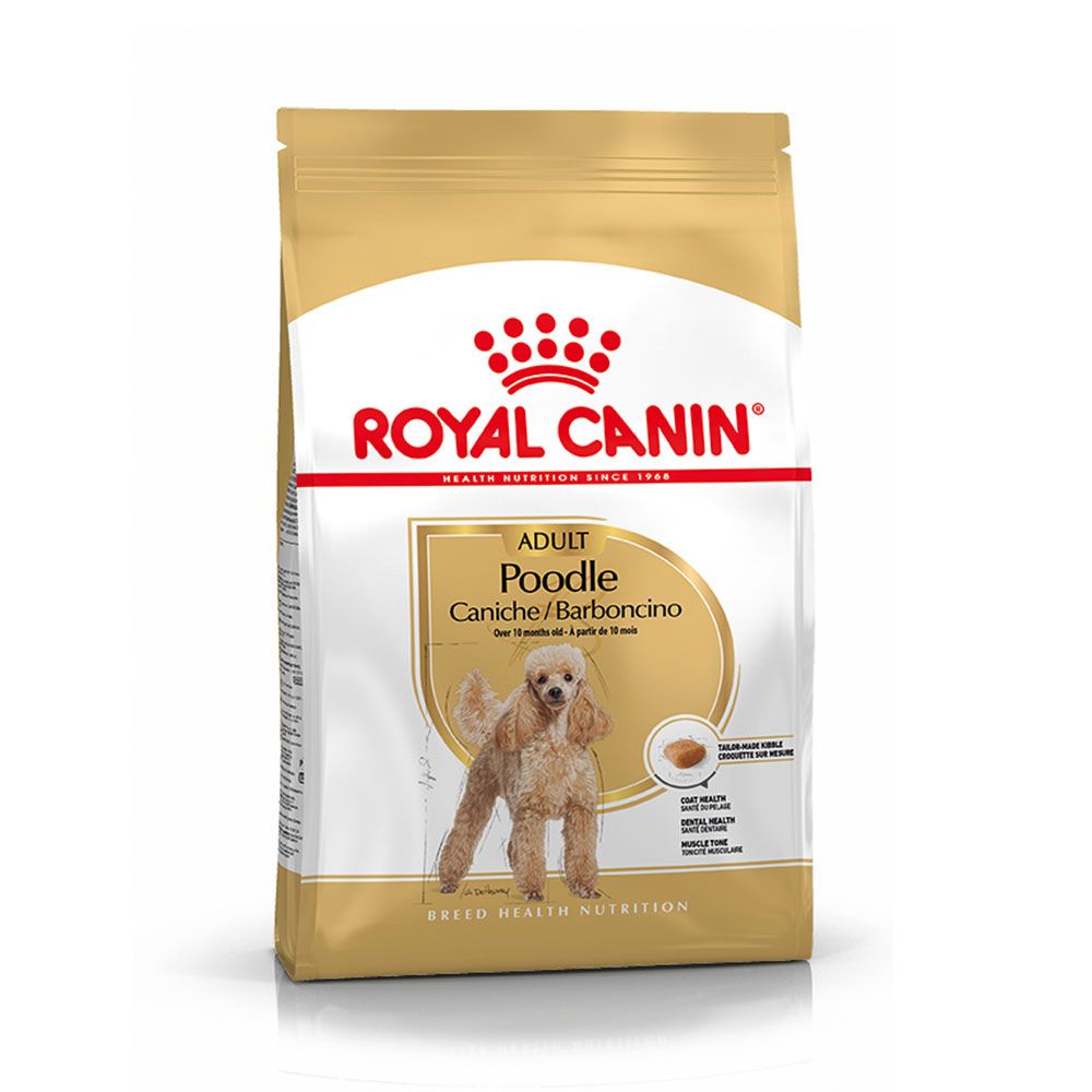 Royal Canin Poodle Adulto