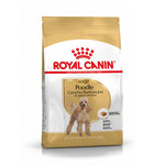 Royal Canin Poodle Adulto