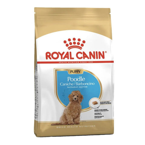 Royal Canin Poodle Cachorro