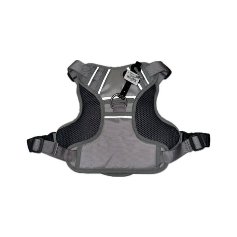 Arnes en Lona Premium Gris