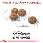 Adulto Esterilizado Mini 1 Kg- Royal Canin