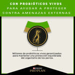 Pro Plan Sensitive Skin and Stomach para Perros - PetsPlaza