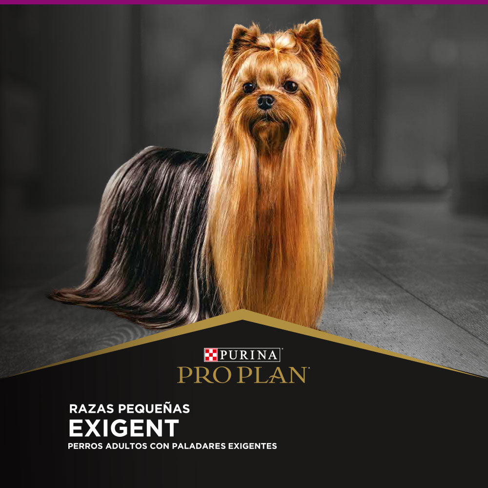 Pro Plan Exigent Razas Pequeñas