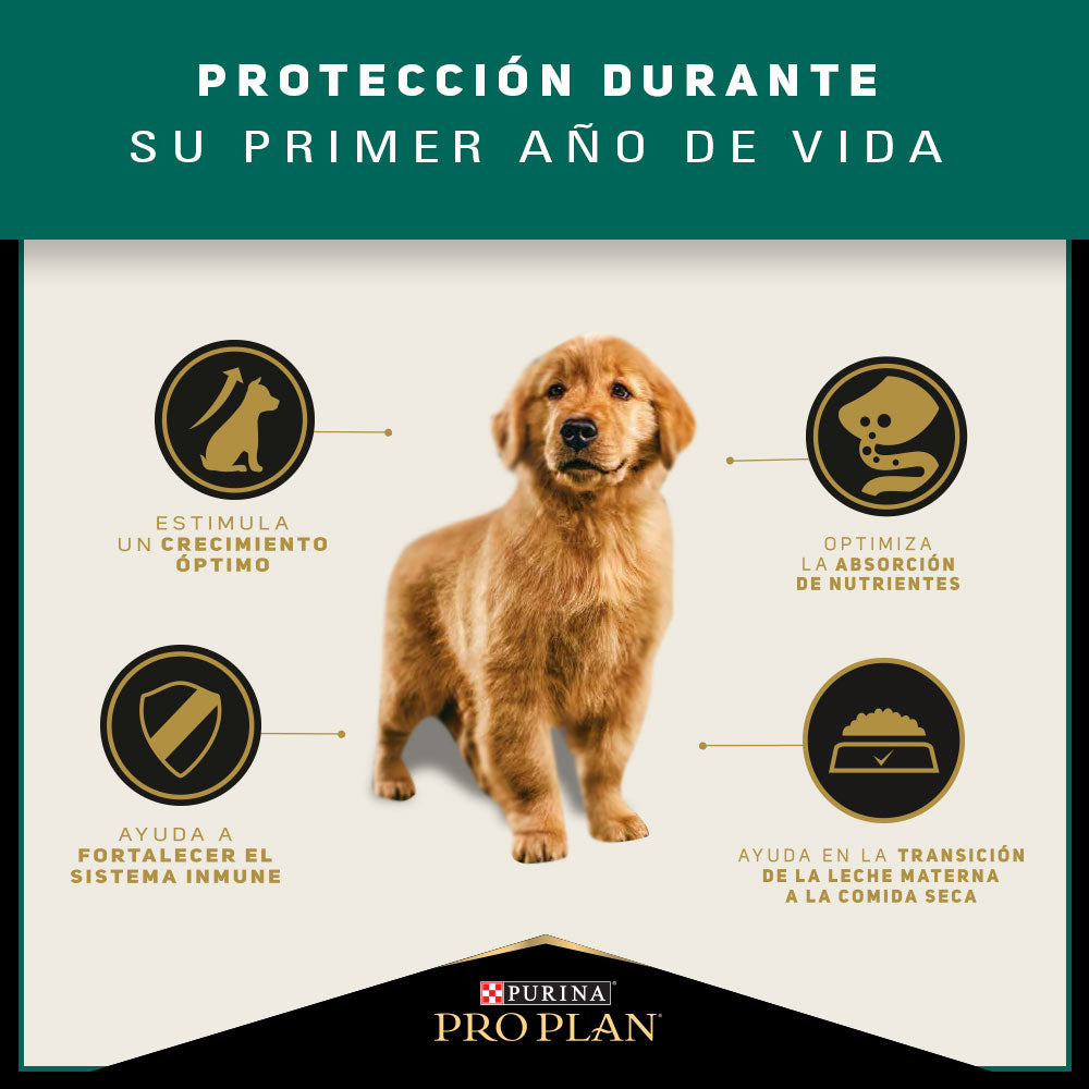 Pro Plan Cachorros Razas Medianas