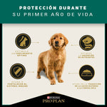 Pro Plan Cachorros Razas Medianas