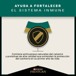 Pro Plan Cachorros Razas Medianas