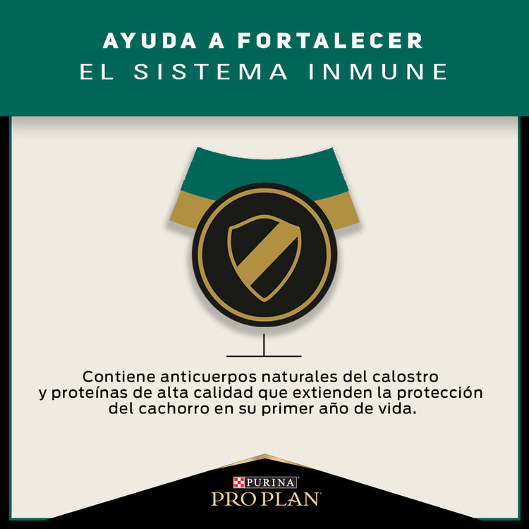 Pro Plan Cachorros Razas Medianas