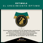 Pro Plan Cachorros Razas Medianas