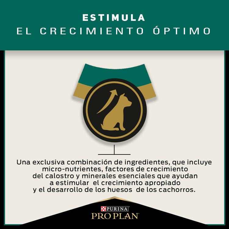 Pro Plan Cachorros Razas Medianas