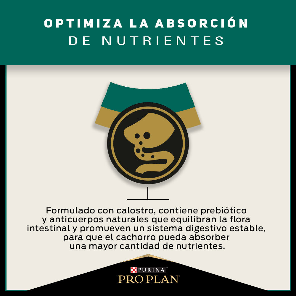 Pro Plan Cachorros Razas Medianas