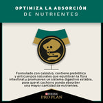 Pro Plan Cachorros Razas Medianas