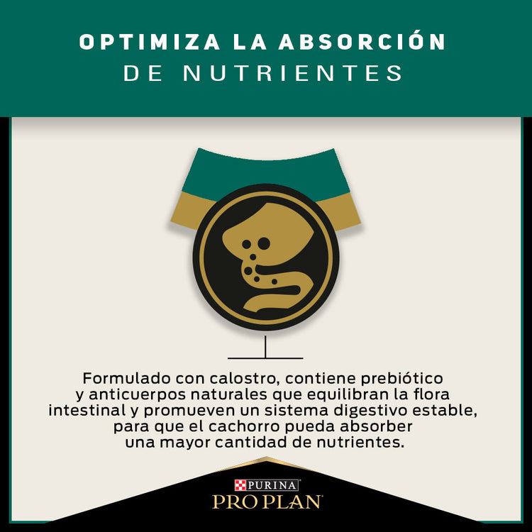 Pro Plan Cachorros Razas Medianas
