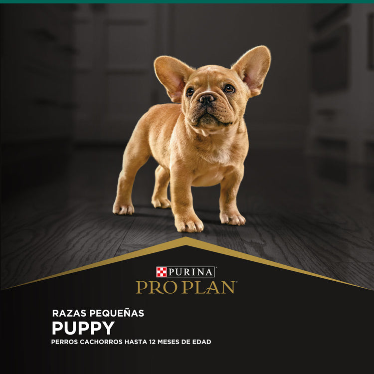 Pro Plan Cachorros Razas Pequeñas