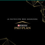 Alimento Para Gatitos Optistart Purina Pro Plan