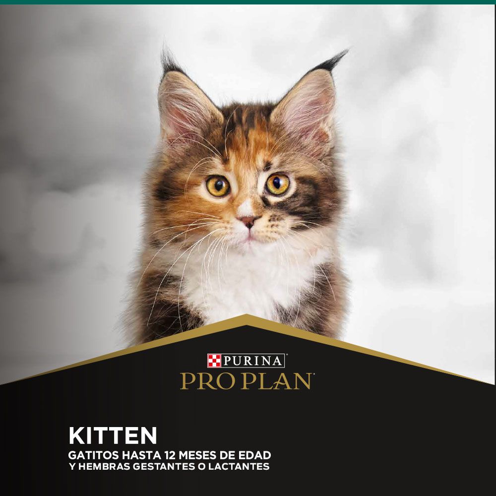 Alimento Para Gatitos Optistart Purina Pro Plan