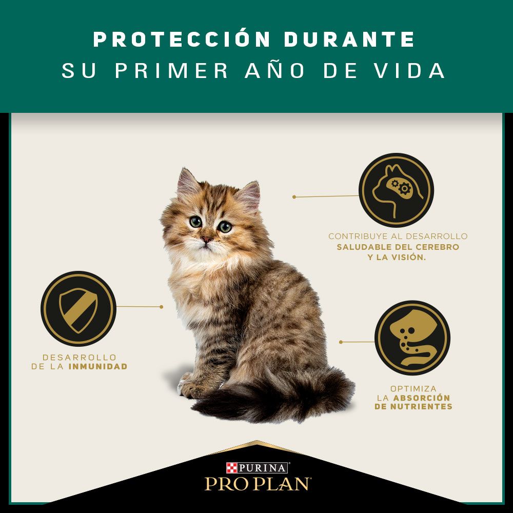 Alimento Para Gatitos Optistart Purina Pro Plan