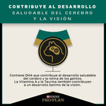 Alimento Para Gatitos Optistart Purina Pro Plan