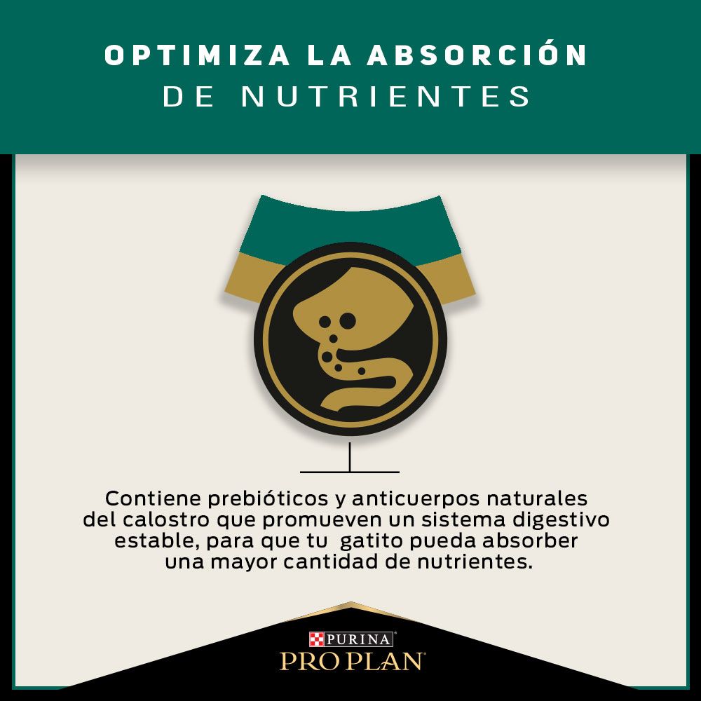 Alimento Para Gatitos Optistart Purina Pro Plan