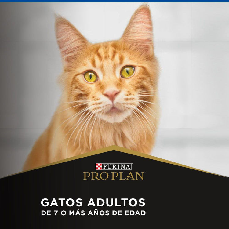 Pro Plan 7+ Gato Adulto
