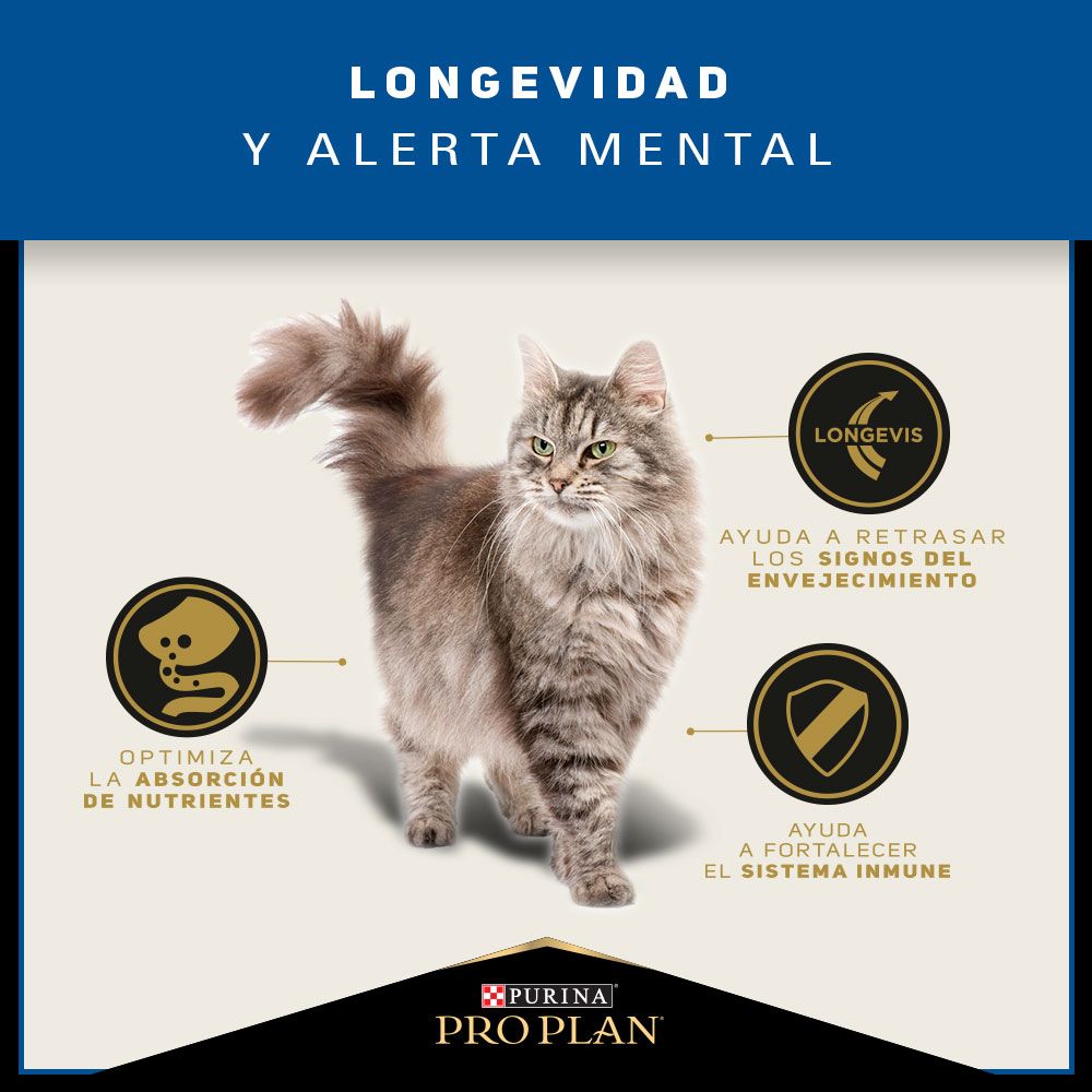 Pro Plan 7+ Gato Adulto