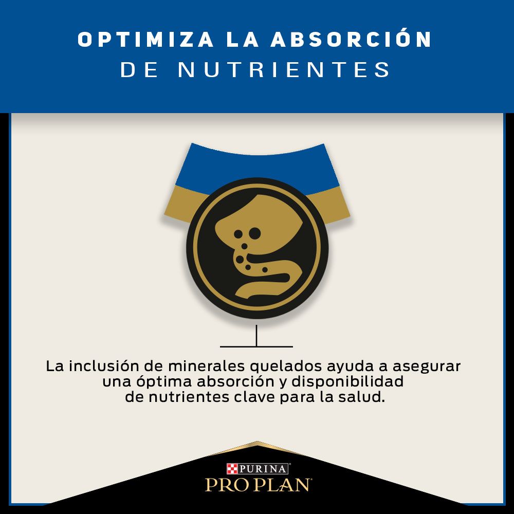 Pro Plan 7+ Gato Adulto