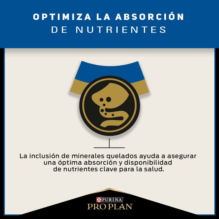 Pro Plan 7+ Gato Adulto