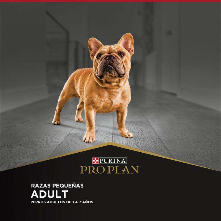 Pro Plan Adulto Razas Pequeñas
