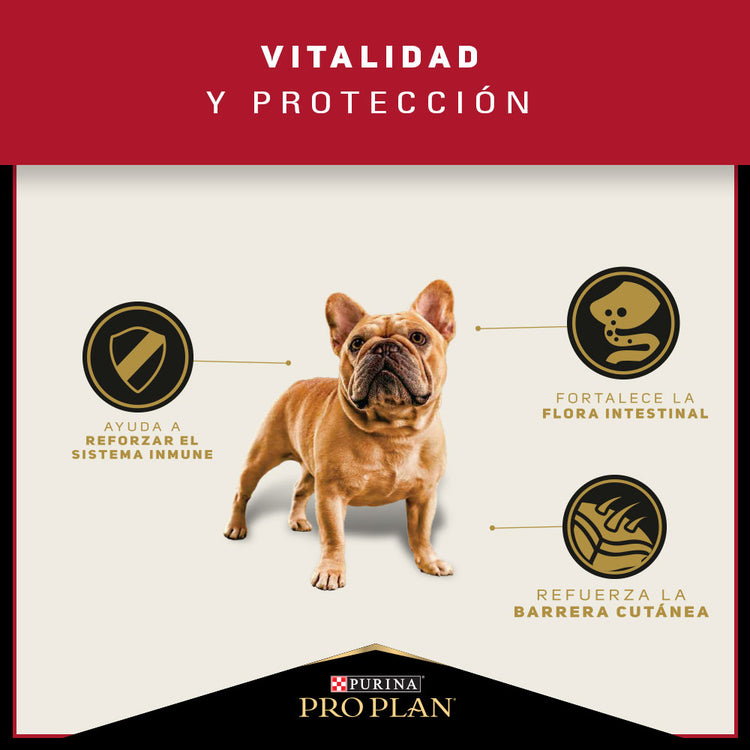 Pro Plan Adulto Razas Pequeñas