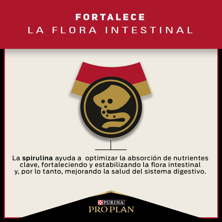 Pro Plan Adulto Razas Pequeñas
